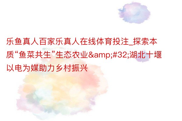乐鱼真人百家乐真人在线体育投注_探索本质“鱼菜共生”生态农业&#32;湖北十堰以电为媒助力乡村振兴