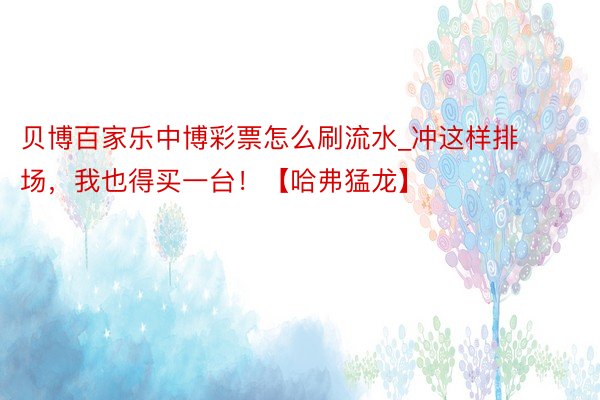 贝博百家乐中博彩票怎么刷流水_冲这样排场，我也得买一台！【哈弗猛龙】